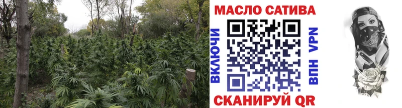 где найти   Славск  ТГК гашишное масло 